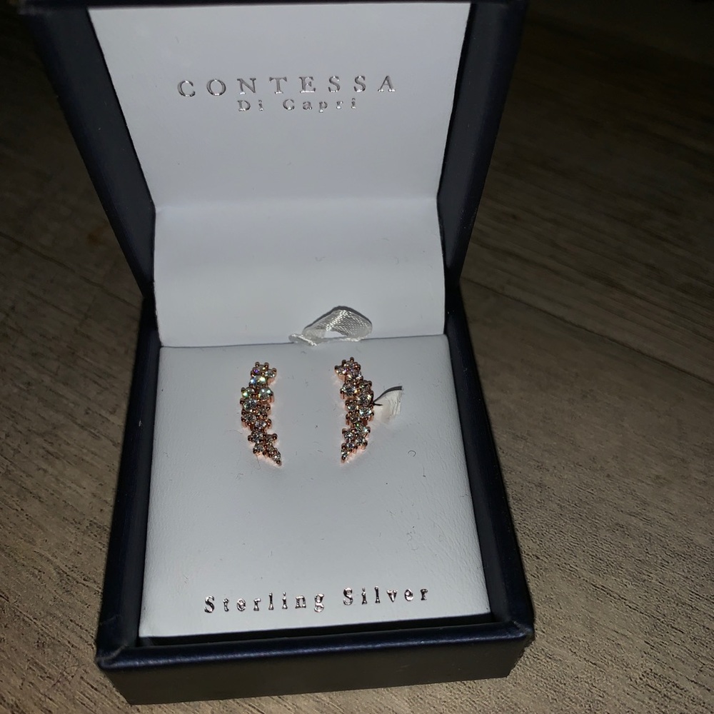 Gold Ear Climber Earrings